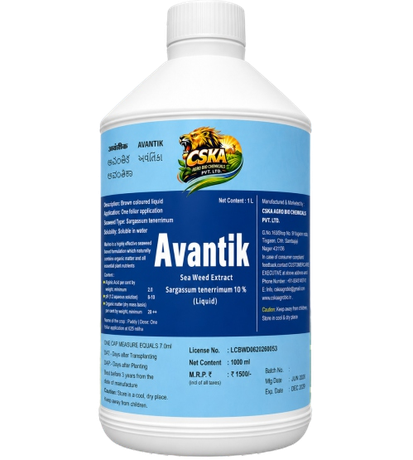 Avantik