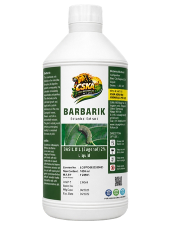 Barbarik