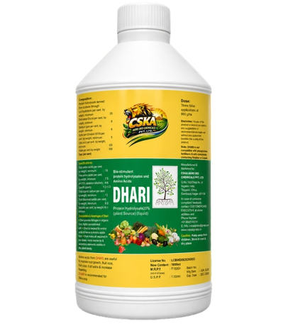 Dhari