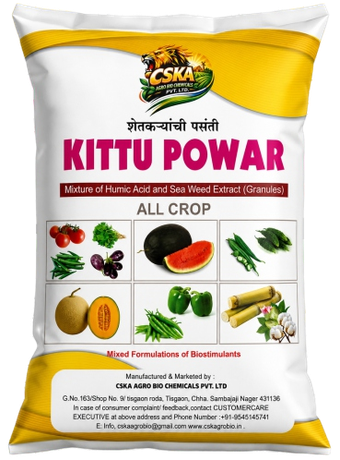 Kittu Powar