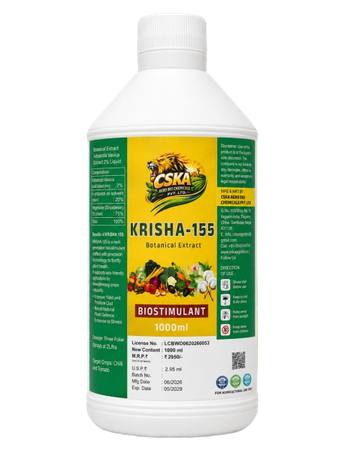Krisha-155
