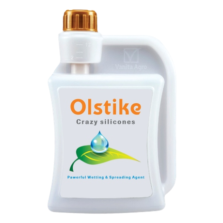 Olstike